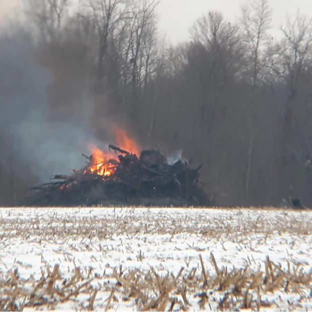 resize burning trees Buring Wood Pile