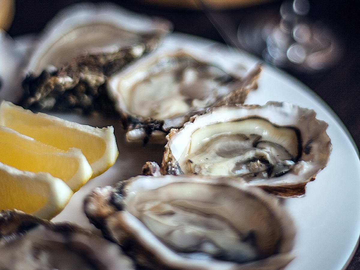 Being a Foodie Brings Adventure, Fun, and Maybe the Gonads of a Sea Urchin