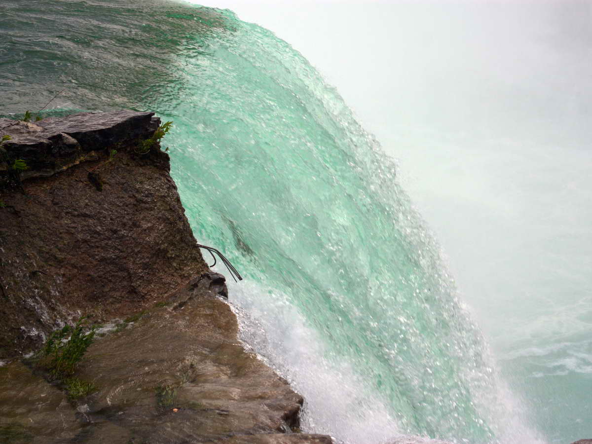 In 1827 A Buffalo Sailed Over Niagara Falls
