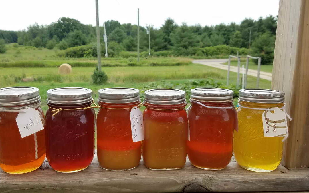 A Happy Buzz Around Beekeeping