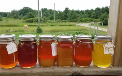 A Happy Buzz Around Beekeeping